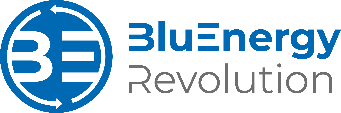 Logo BluEnergy Revolution